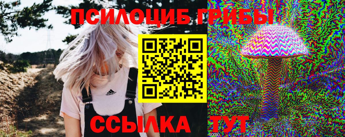 Кунгур  Галлюциногенные грибы Magic Shrooms  Вход с VPN 