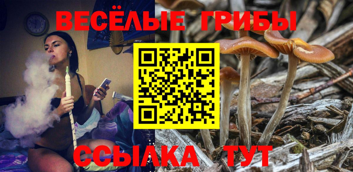 Псилоцибиновые грибы прущие грибы Кунгур